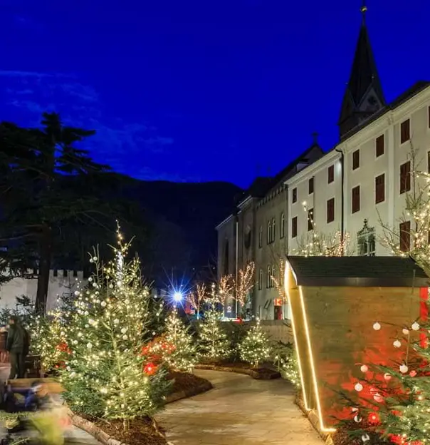 Shot of a street in Merano, Italy, with lit up christmas trees 