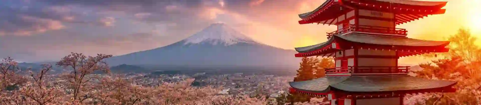 Chureito Pagoda surrounded by cherry blossoms at sunset with Mount Fuji in the background