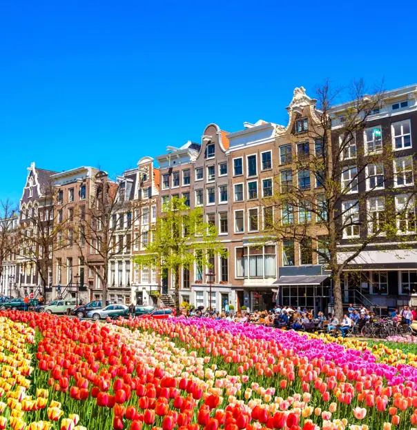 Shutterstock 556537813 Amsterdam