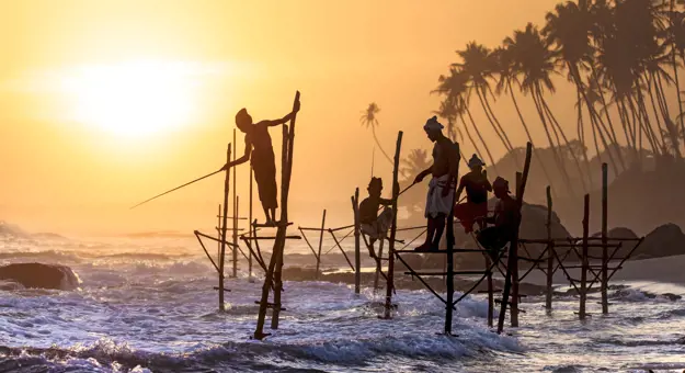 Sri Lanka Stlit Fisherman