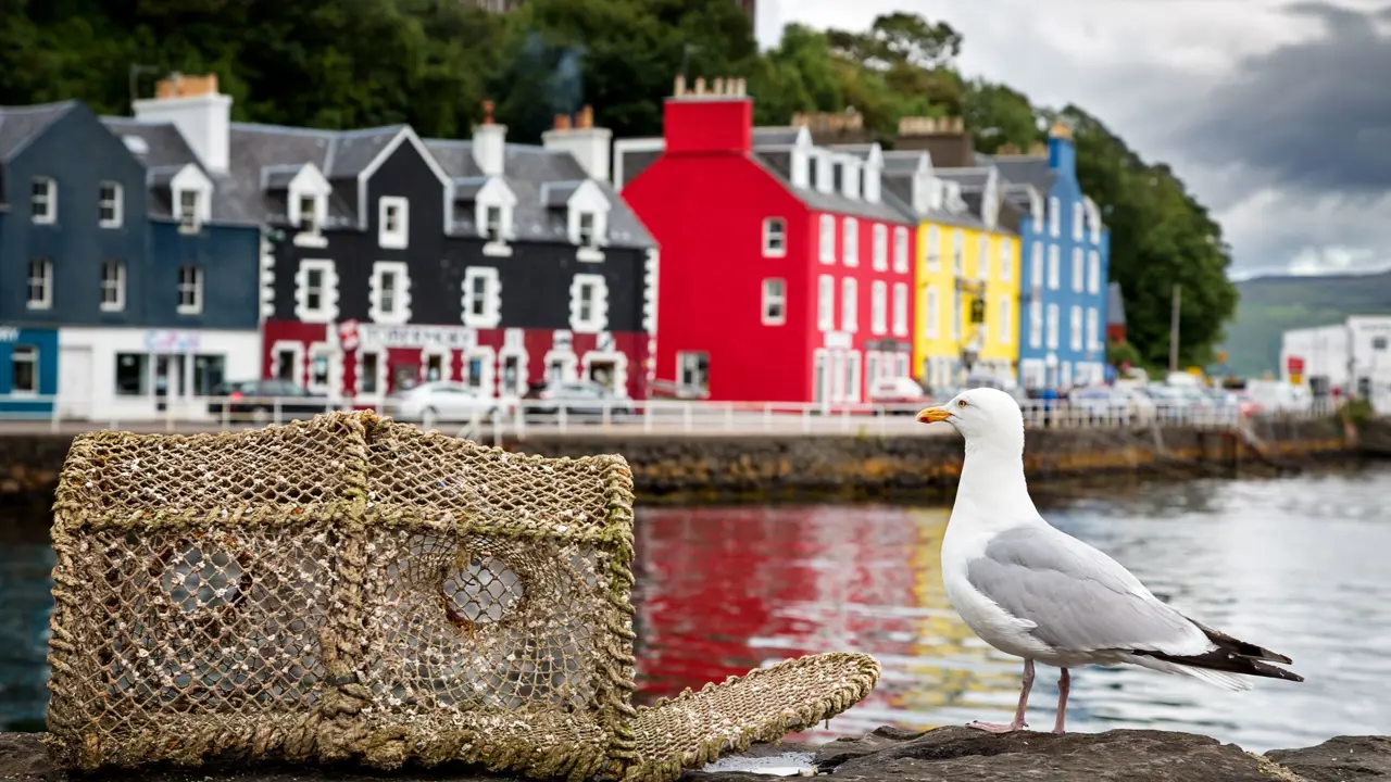 Shutterstock 318153089 Tobermory