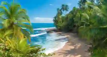 Adobestock 114722654 Puerto Limón, Costa Rica