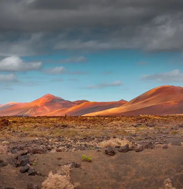 Shutterstock 2217051253 Lanzarote (1)