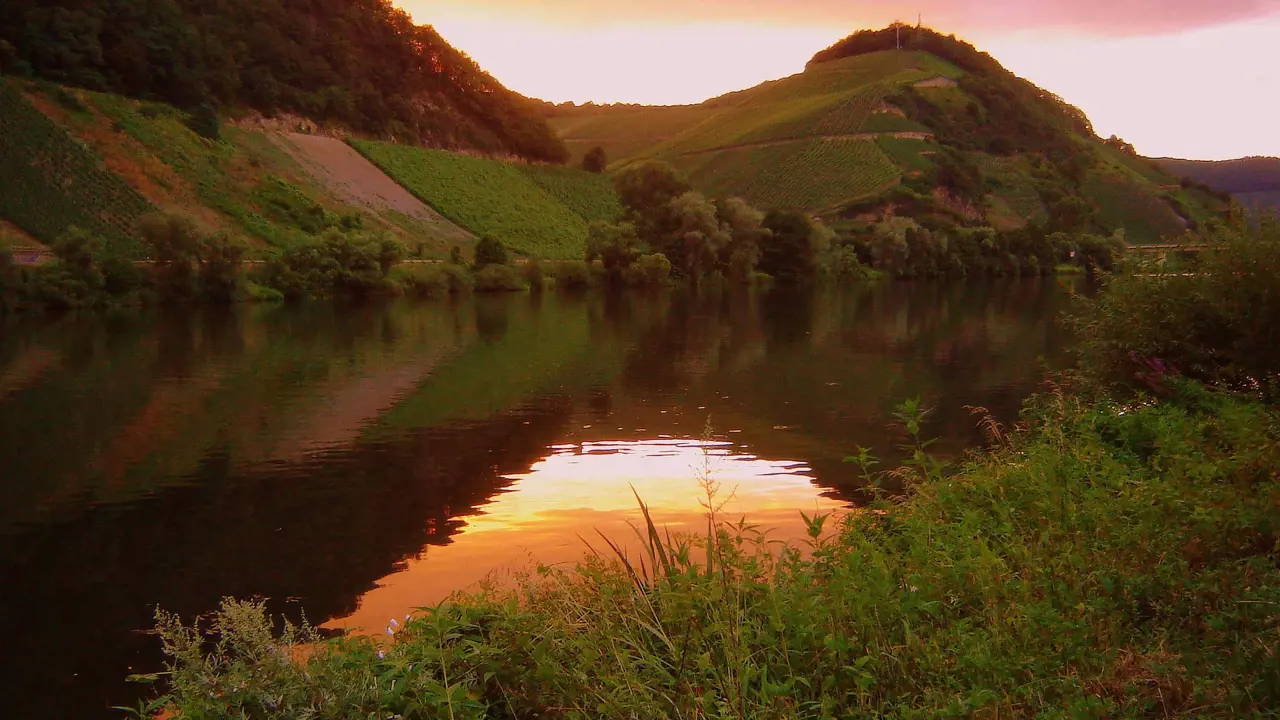 Moselle Scenic