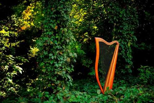 The harp