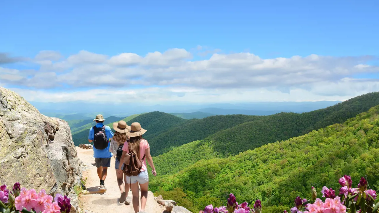 Sh 574880398 Asheville, Blue Ridge Mountains, North Carolina, USA