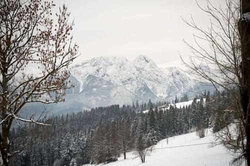 The wintry delights of Poland