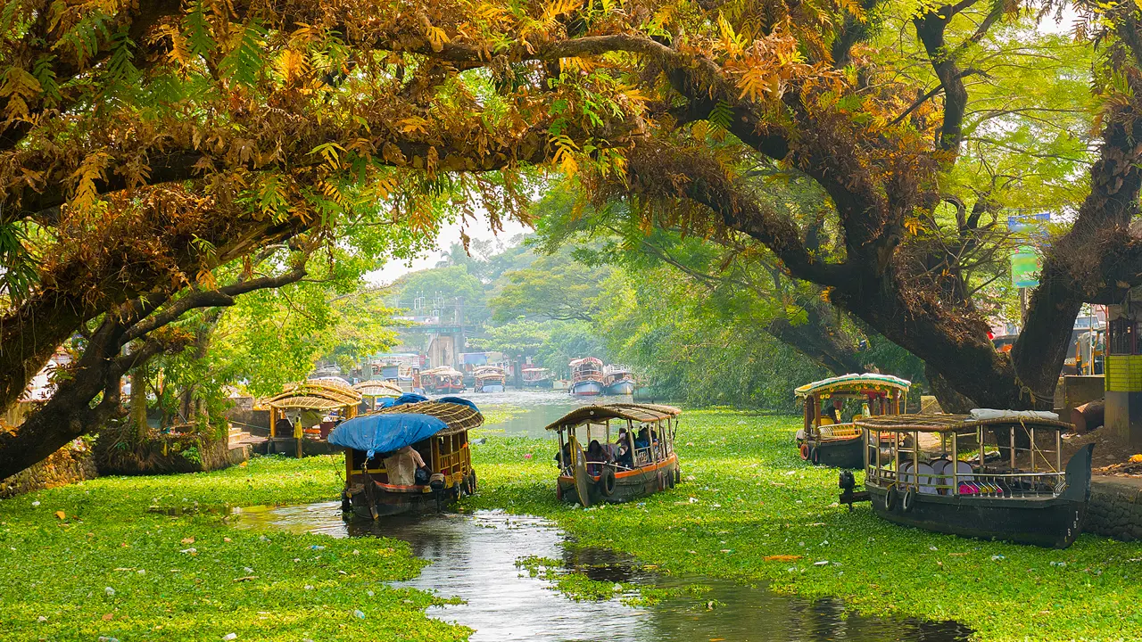 Houseboats On Backwaters In Alleppey, Kerala, India